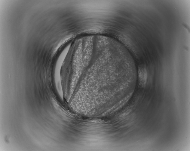X0000098160396200805151234