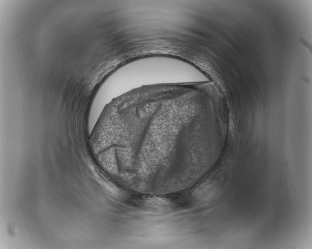 X0000098160397200805151234