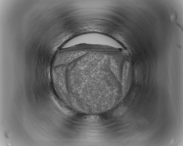 X0000098160398200805151234
