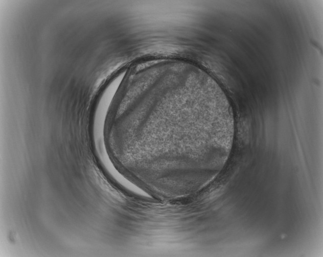 X0000098160399200805151234