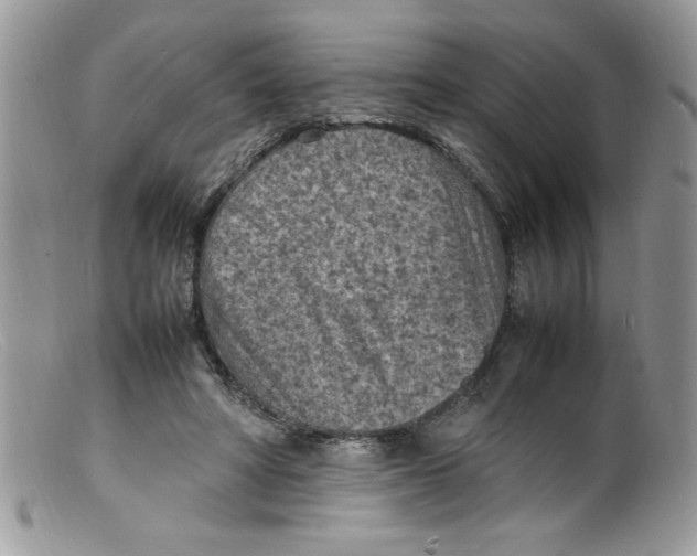 X0000098160402200805151234