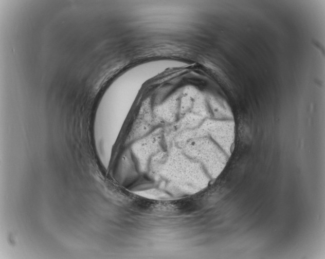 X0000098160403200805151234