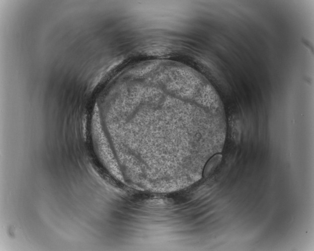 X0000098160404200805151234