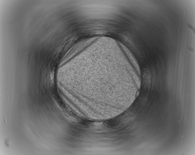 X0000098160406200805151234