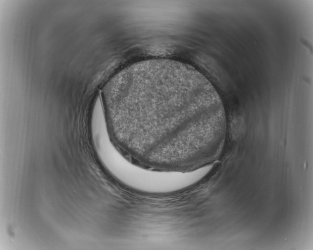 X0000098160407200805151234