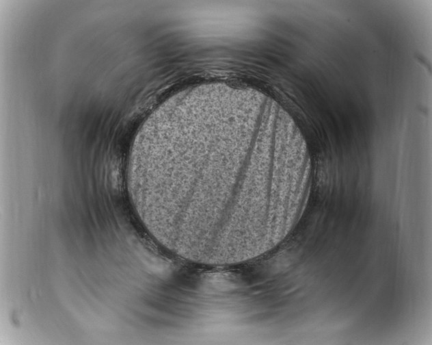 X0000098160408200805151234