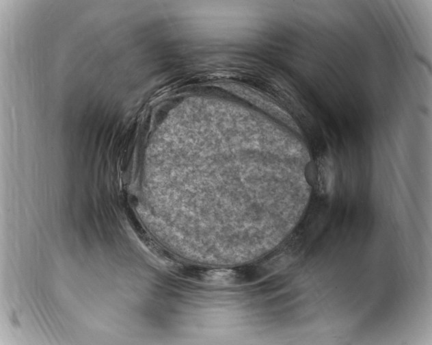 X0000098160410200805151234