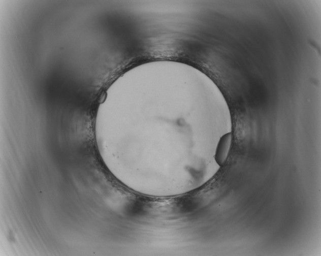 X0000098160411200805151234