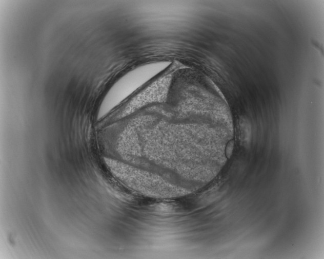 X0000098160412200805151234