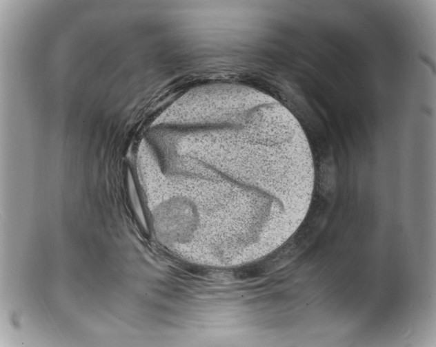 X0000098160413200805151234