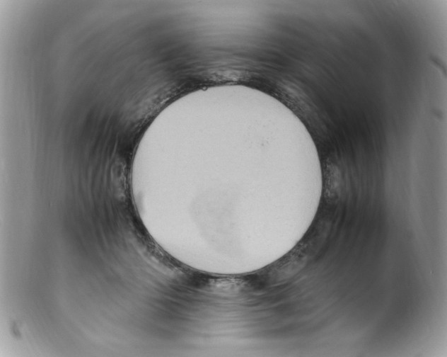 X0000098160414200805151234