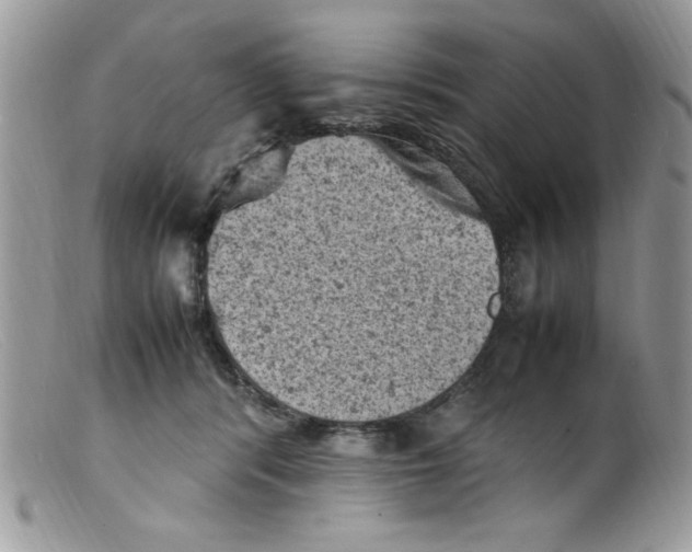 X0000098160416200805151234