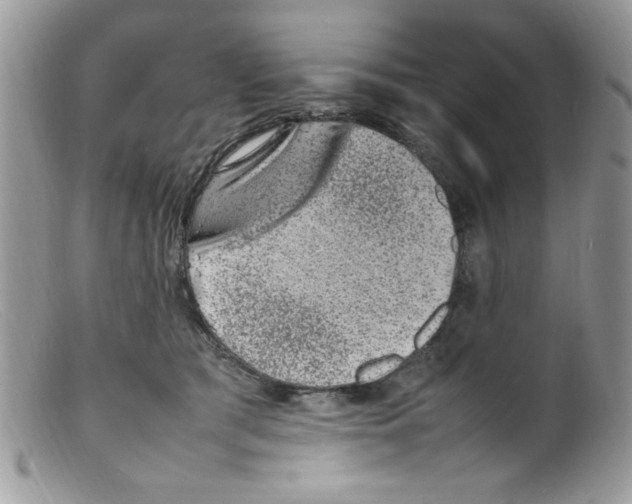 X0000098160417200805151234