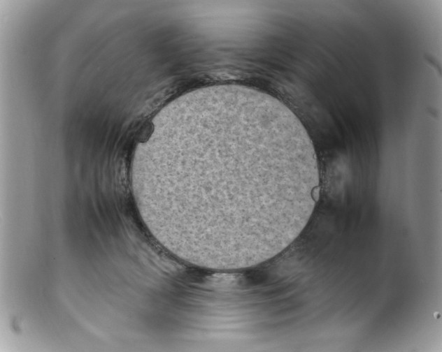 X0000098160418200805151234