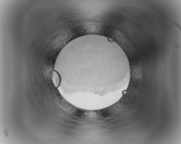 X0000098160419200805151234