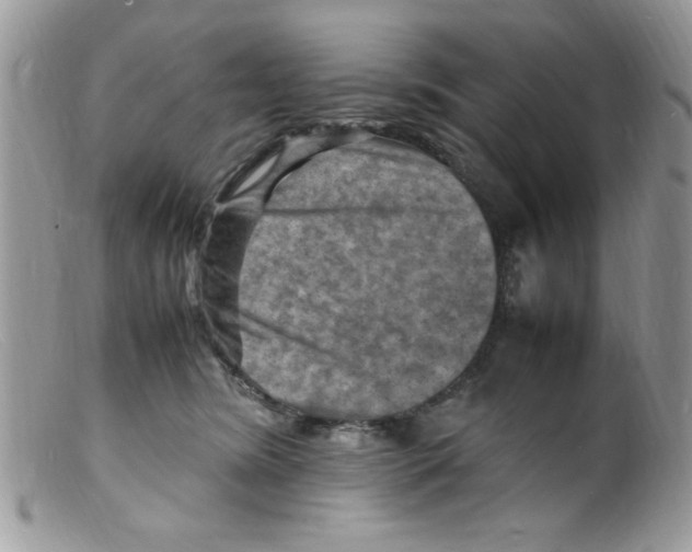 X0000098160420200805151234