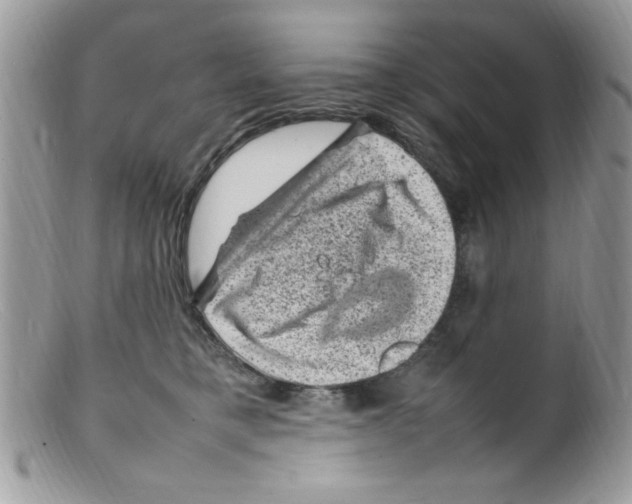 X0000098160421200805151234