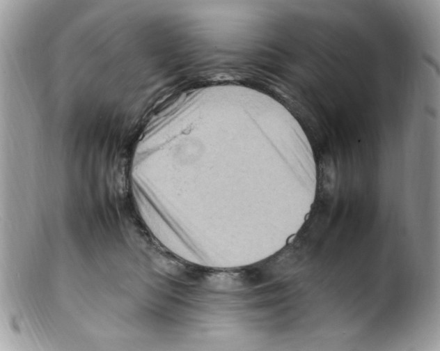 X0000098160422200805151233