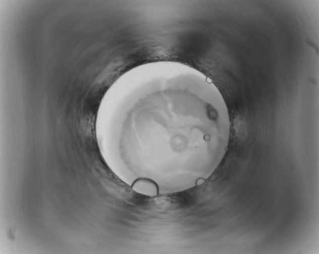 X0000098160423200805151233