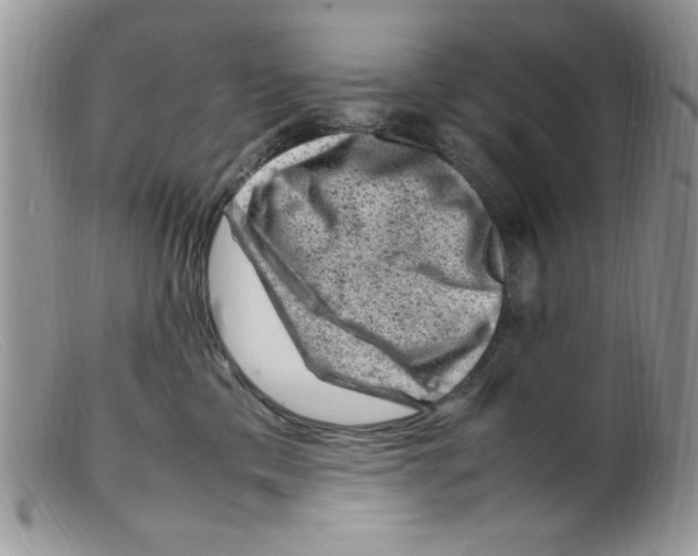 X0000098160425200805151233