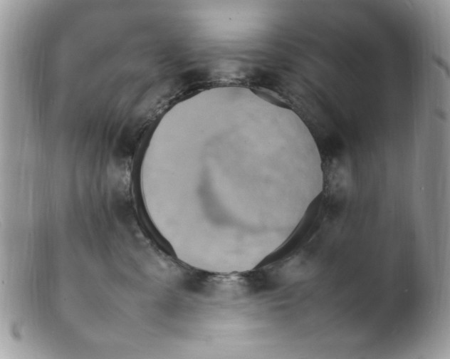 X0000098160427200805151233