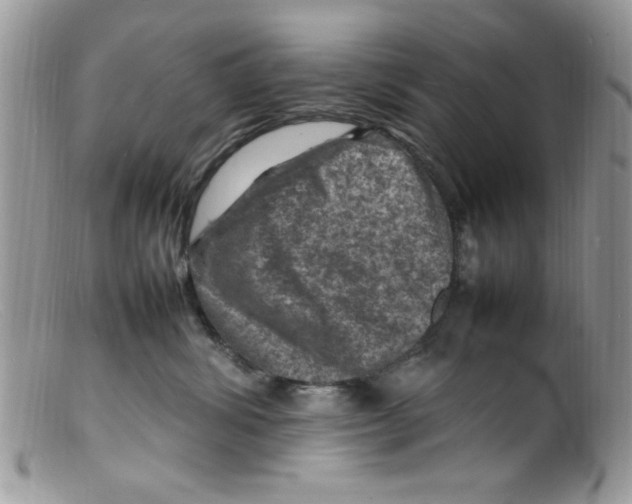 X0000098160428200805151233