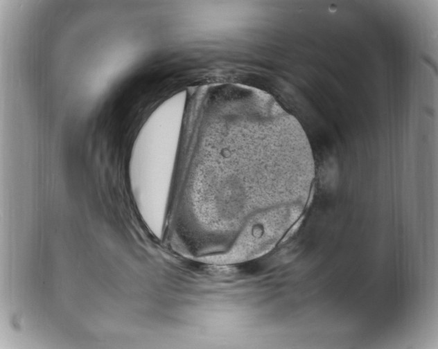 X0000098160429200805151233