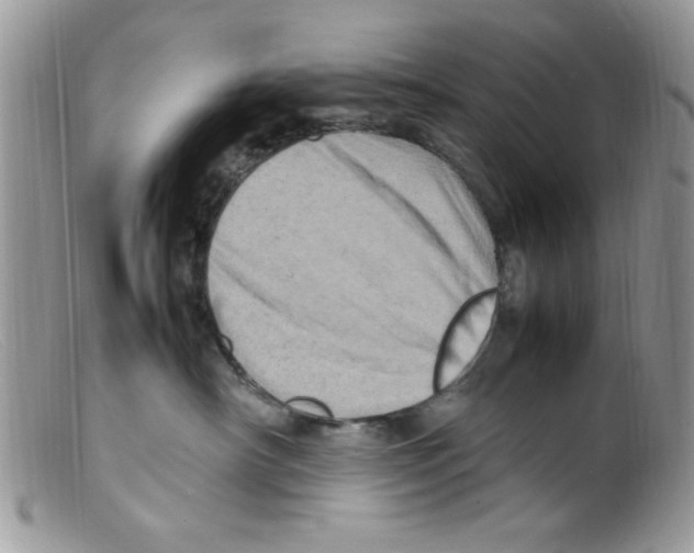 X0000098160430200805151233