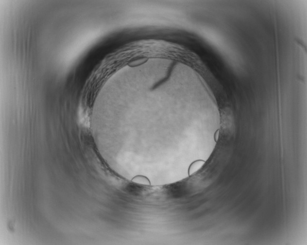 X0000098160431200805151233