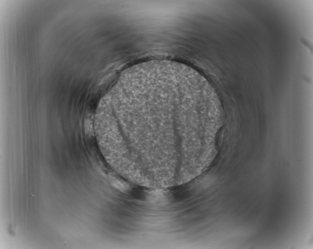 X0000098160432200805151233