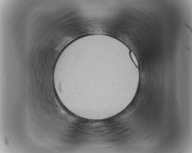 X0000098160433200805151233