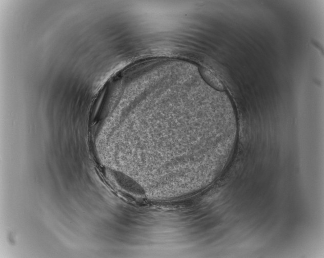 X0000098160434200805151233