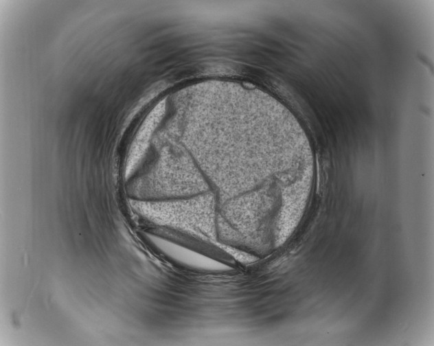 X0000098160435200805151233