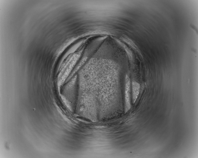 X0000098160436200805151233