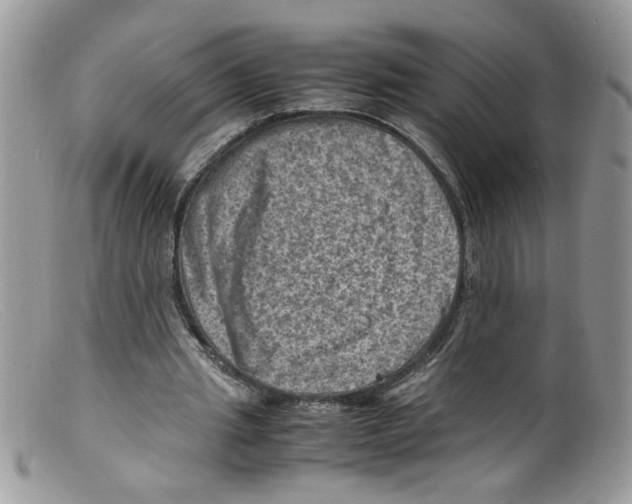 X0000098160437200805151233