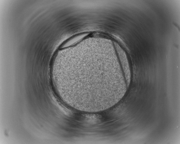 X0000098160439200805151233