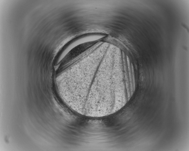 X0000098160440200805151233