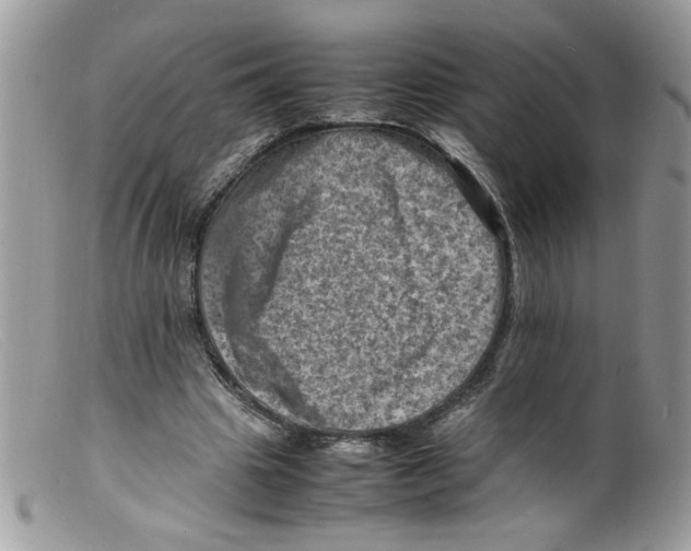 X0000098160441200805151233