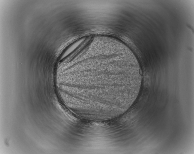 X0000098160442200805151233