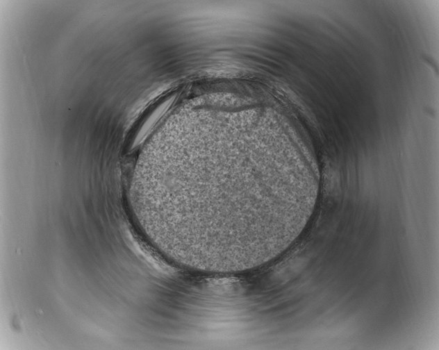 X0000098160446200805151233