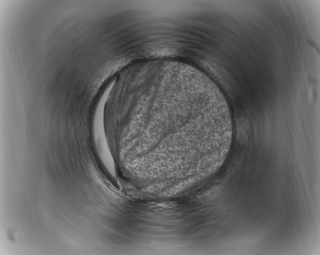 X0000098160447200805151233