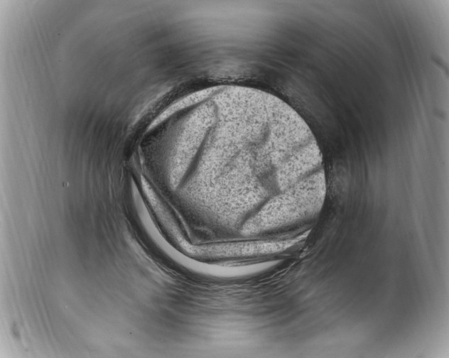 X0000098160448200805151233