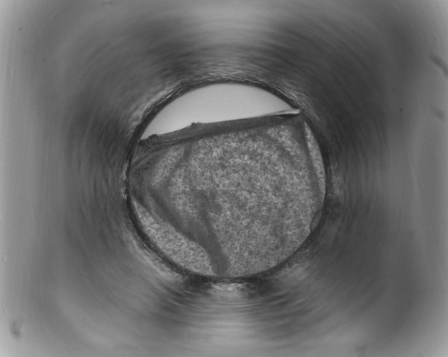 X0000098160450200805151233