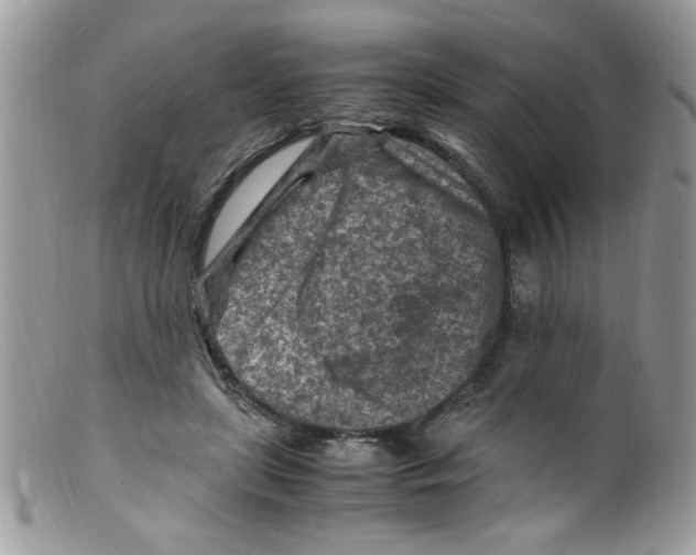 X0000098160451200805151233