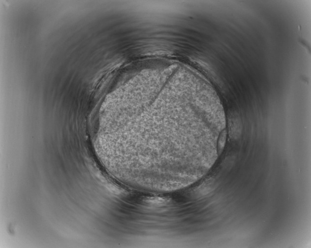 X0000098160453200805151233