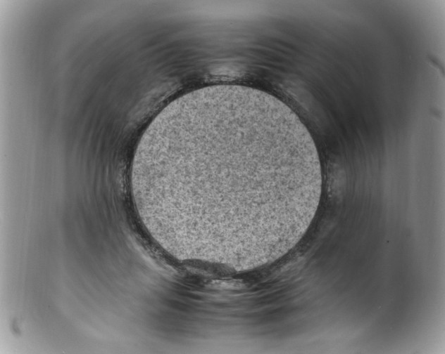X0000098160455200805151233