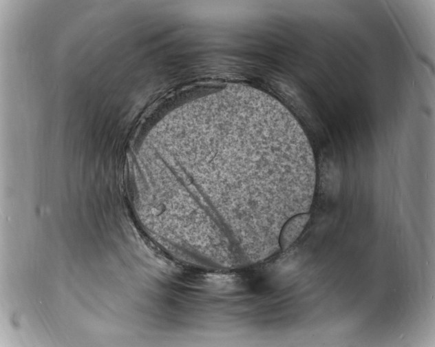 X0000098160457200805151233