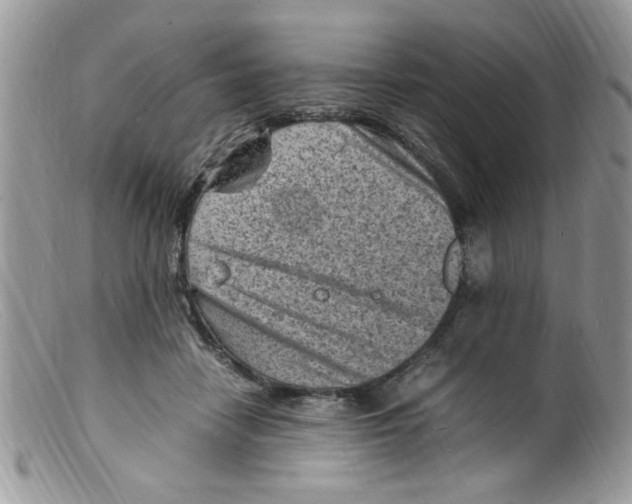 X0000098160458200805151233