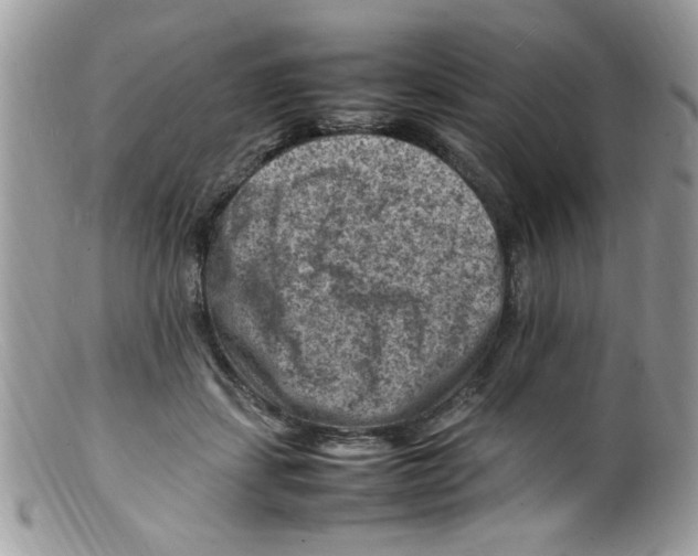 X0000098160459200805151233