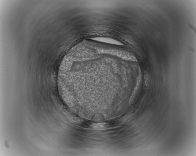X0000098160461200805151233
